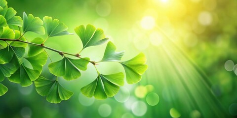 Aufkleber - Sunlight filtering through vibrant green leaves, creating a serene and tranquil natural scene.
