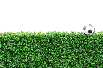 Wall Mural - Green Lush Hedge with Soccer Ball