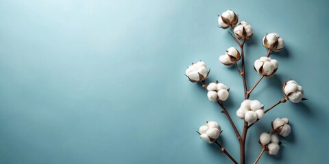Poster - A delicate cotton branch with fluffy white blooms arranged against a soft blue backdrop