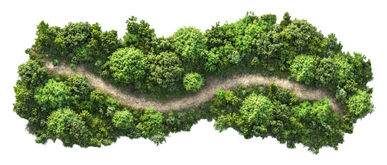 Wall Mural - Aerial view of a forest path surrounded by green trees, isolated on transparent cutout background