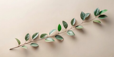 Aufkleber - A single, delicate branch with vibrant green leaves gracefully extends across a neutral background, creating a serene and minimalist botanical composition.