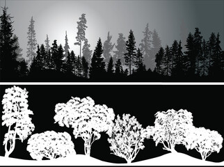 Wall Mural - white and grey forest two panoramaes