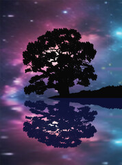 Wall Mural - large tree at bright night sky background with reflection