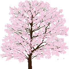 Wall Mural - light pink blossoming tree isolated on white