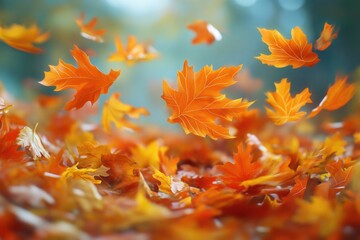 Poster - Autumn leaves falling from trees, flying through the air