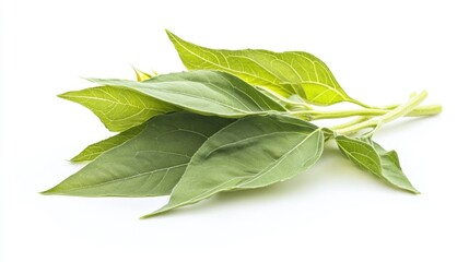 Poster - A cluster of fresh green leaves placed on a clean white surface