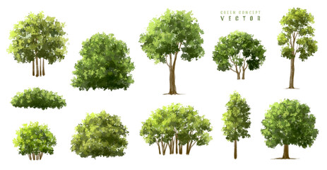 Wall Mural - vector watercolor green tree or forest side view isolated on white background for landscape and arch