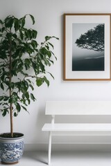 Poster - A simple outdoor scene featuring a white bench and a potted plant