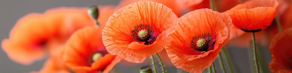 Wall Mural - A detailed view of a cluster of vibrant orange flowers