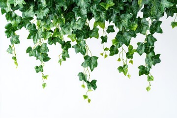 Wall Mural - A decorative installation featuring a collection of green leaves suspended from the ceiling