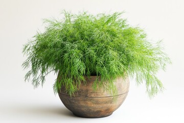 Poster - A small potted plant with lush green leaves sitting on a white surface