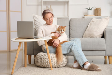 Wall Mural - Beautiful woman in soft slippers with cat and laptop sitting on pouf at home