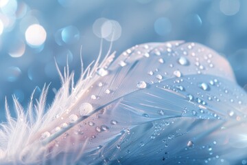 Wall Mural - drop of water on fluffy feather with sparkling bokeh on light blue blurred white soft blue blur background