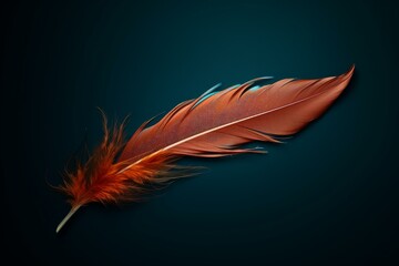 Poster - Single, brightly colored orange feather resting on a deep teal backdrop, highlighting texture and fragility