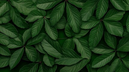 Wall Mural - Dark Green Lush Leaves Texture 