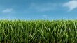 © Sirichai - Green Grass and Blue Sky: A vibrant image captures a close-up view of lush green grass blades reaching towards a clear blue sky with wispy white clouds, evoking a sense of tranquility and renewal.