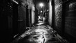 © A B I G A I L - Dark, wet alleyway at night; urban grit, mystery, film noir