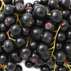 Wall Mural - Fresh Black Currant Berries Isolated on White Background