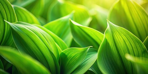 Aufkleber - A close-up view of lush, vibrant green leaves, illuminated by warm sunlight, showcasing intricate patterns and textures.
