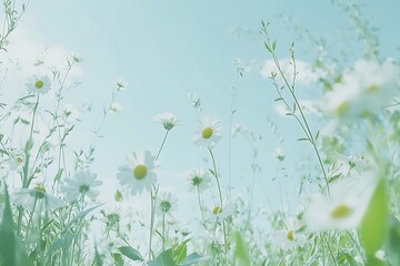 Wall Mural - Delicate Daisies in a Pastel Meadow