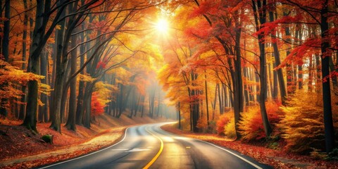 Poster - A winding road through an autumnal forest, with sunlight streaming through the vibrant foliage, creating a picturesque scene.