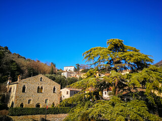 Wall Mural - View of the village of Arquà Petrarca, Padua, Italy