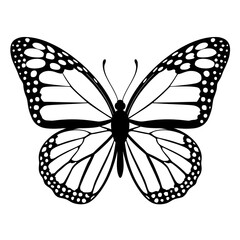 Wall Mural - butterfly illustration coloring page