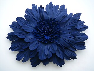 Wall Mural - Beautiful navy blue flower arrangement showcasing intricate petal details