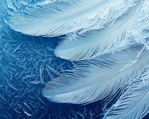 Poster - Frozen feathers on ice, winter texture.