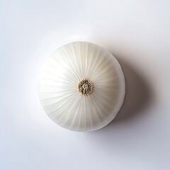 Canvas Print - Elegant white ceiling light fixture with intricate design, minimalistic style