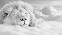 眠れる獅子 無料画像 - Public Domain Pictures