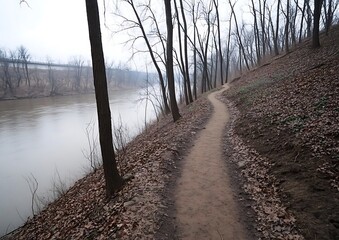 Poster - Serene riverside path winding through bare trees on a foggy day