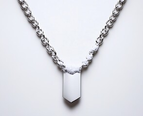 Wall Mural - Silver chain necklace, blank tag, white background, mockup