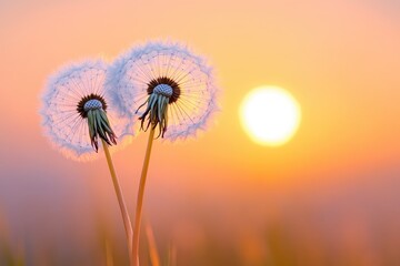 Two dancers silhouetted against a vibrant sunset sky reflecting joy and passion in a scenic outdoor setting