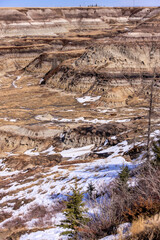 Wall Mural - A mountain range with snow on the ground and trees in the foreground