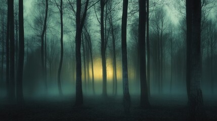 Aufkleber - Calm morning mist envelops a tranquil lake with a weathered log resting on the serene water surface at dawn