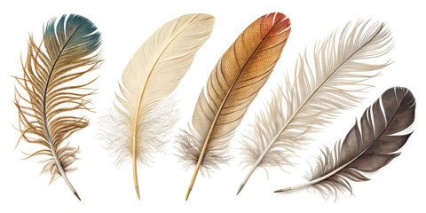Naklejka na meble Another Perspective of Feathers Isolated on a White Background for Artistic Use