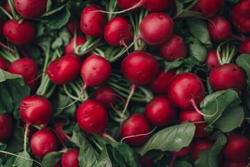 Poster - Vibrant red radishes with green leaves create a colorful and textured display, suggesting farm fresh produce
