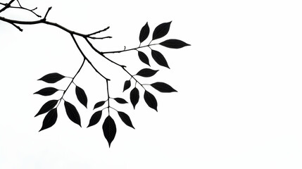 Silhouette of tree branch with leaves against a bright sky, ideal for nature-themed designs