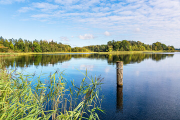 Wall Mural - Landschaft am Krakower See in der Stadt Krakau am See