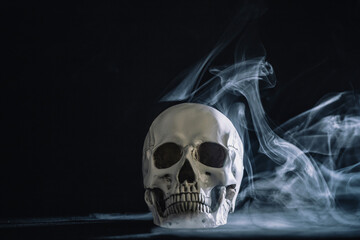 Wall Mural - Human skull on a black background in smoke.