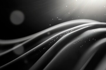 Poster - Soft light distortions and gentle lens glare create an elegant black-and-white abstract background. This design features smooth curves and shadows, ideal for sleek, modern applications