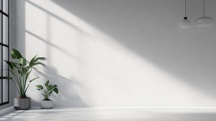 Wall Mural - White room with a window and a plant. The room is empty and has a minimalist feel