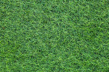Canvas Print - top view artificial Grass background
