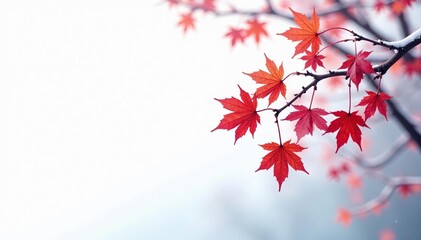 Wall Mural - Snowy maple tree branches against a white background, serene, snowy
