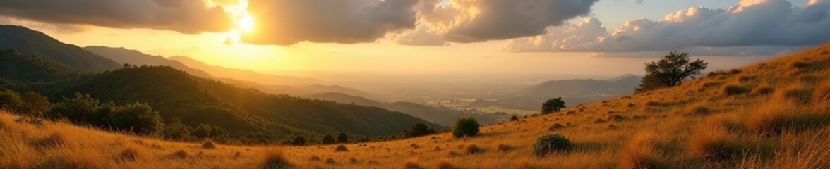 Wall Mural - Low-hanging clouds cast a golden glow over the rolling hills of Reserva Nacional La Chimba, landscape, nature, gentle