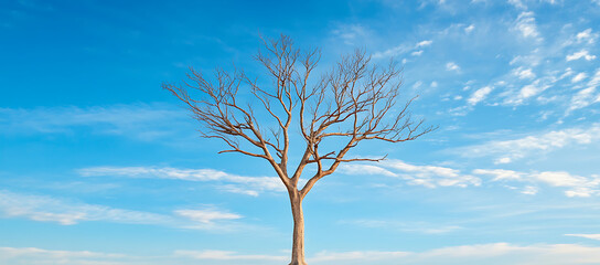 Poster - A lifeless tree set against a stunning, unclouded blue sky in a photo featuring ample copy space.