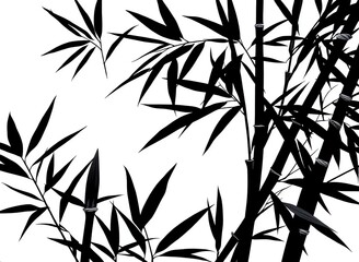 Wall Mural - an image of a black and white photo of a bamboo tree, a close up of a bamboo tree with leaves on a white background