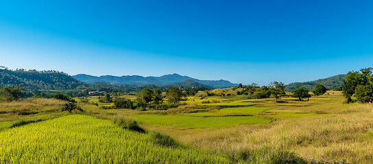 Wall Mural - A picturesque landscape with a clear blue sky, perfect for a copy space image.