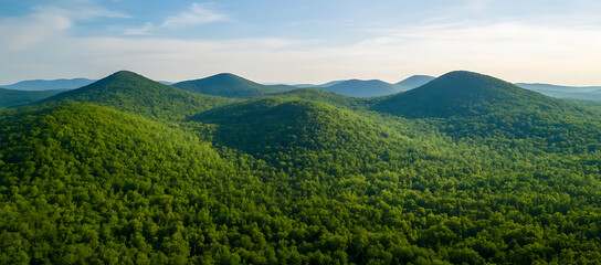 Poster - Scenic mountain range with lush forests perfect for a copy space image